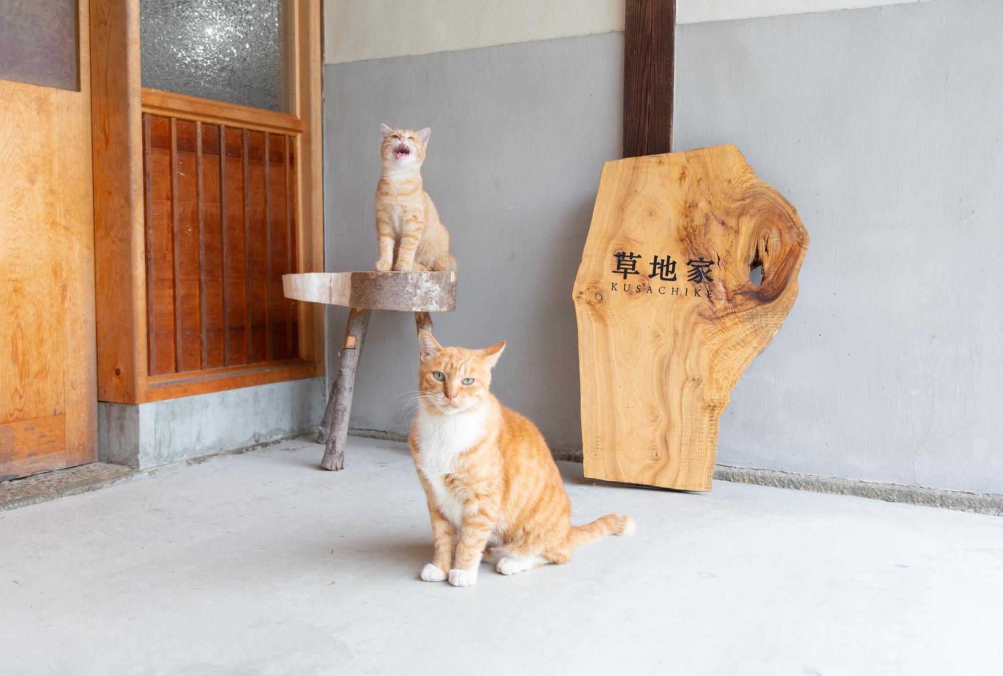 猫と図書館のある宿 草地家 Kusachike Minamiawaji Exterior foto